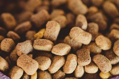 0%！国产宠物食品迎来 黄金逆袭期不朽情