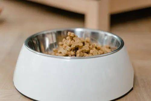 0%！国产宠物食品迎来 黄金逆袭期不朽情缘首页进口粮成本暴涨 15(图5)