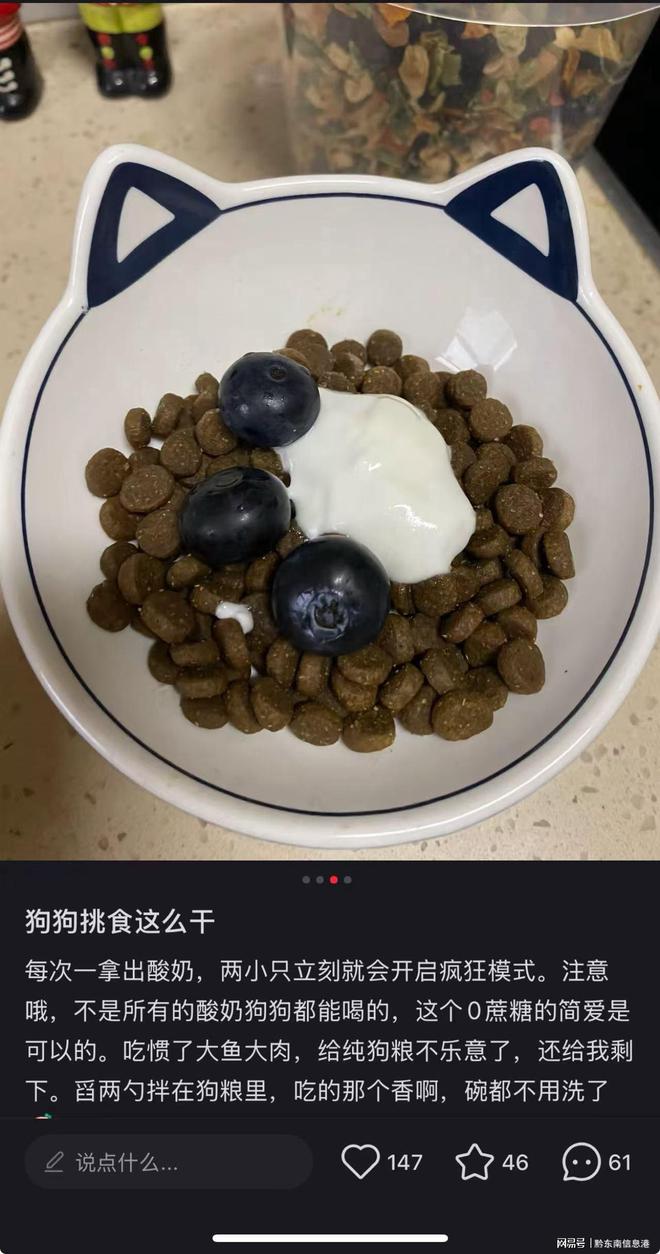 纯净配方”撬动萌宠经济与母婴信任双赛道mg不朽情缘游戏网站登