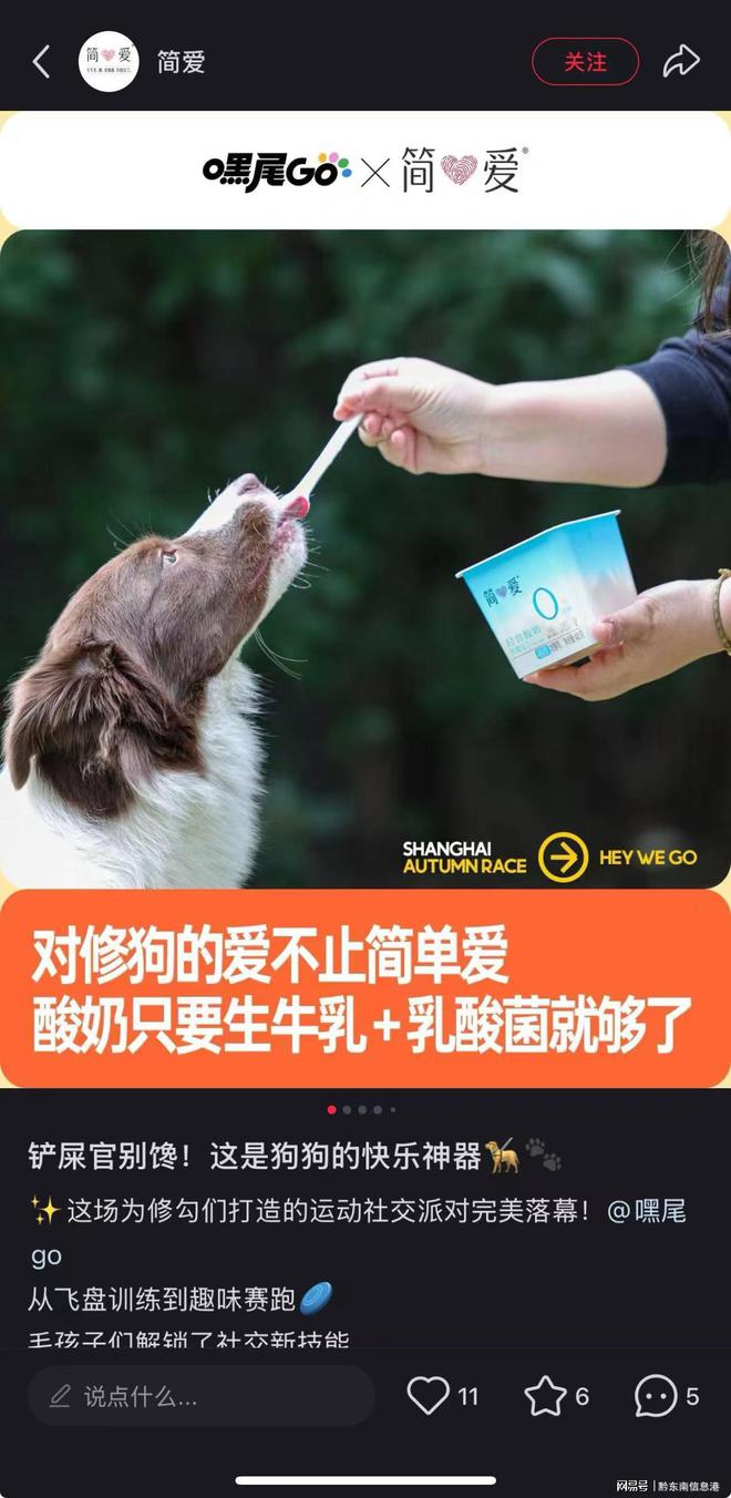纯净配方”撬动萌宠经济与母婴信任双赛道mg不朽情缘游戏网站登录简爱酸奶以“(图3)